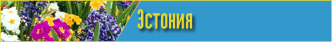 Майские праздники в Прибалтике Майские праздники в Прибалтике