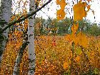 Латвия: Осень Латвия: Осень