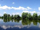 Украина: Река Стырь в Кузнецовске. Лето. Украина: Река Стырь в Кузнецовске. Лето.