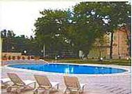 отель Tashkent Palace: Бассейн отель Tashkent Palace: Бассейн