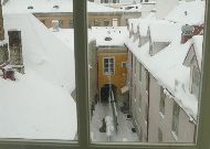 гостиница Meriton Old Town Garden: Вид из окна номера гостиница Meriton Old Town Garden: Вид из окна номера