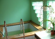 гостиница Padu Kardla: Бассейн в сауне гостиница Padu Kardla: Бассейн в сауне
