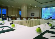 отель Park Hyatt Baku: Конференц-зал отель Park Hyatt Baku: Конференц-зал
