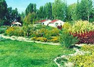 гостиница Royal Beach: Внутренний двор гостиница Royal Beach: Внутренний двор