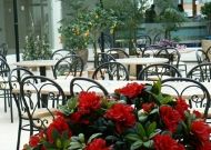 ��������� Spa Hotel Trasalis: ������ ���