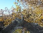 ������: ������� ������
