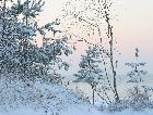  ������: ����
