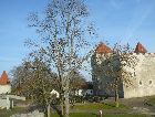 Остров Сааремаа: Замок острова Остров Сааремаа: Замок острова