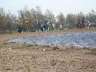 Остров Сааремаа: Пляж Осенью Остров Сааремаа: Пляж Осенью