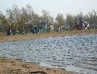 Остров Сааремаа: Пляж острова осенью Остров Сааремаа: Пляж острова осенью
