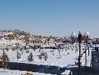 Самарканд: Самарканд на Новый год Самарканд: Самарканд на Новый год