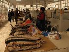 Туркменбаши: рыбный рынок Туркменбаши: рыбный рынок