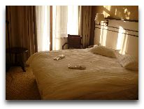 отель Borjomi Palace: Номер Standard Dnl