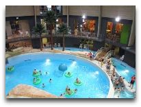 отель Hotel Aqua: Бассейн с морской волной в аквапарке