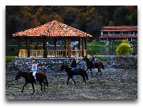 отель Lopota Resort: Прогулка на лошадях