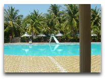 отель Palmira Resort: Бассейн