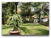 отель Sunny Beach Resort: Территория отеля-