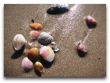  Достопримечательности Лиепая: Лиепайский пляж