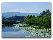  Экскурсии по Черногории: Скадарское озеро