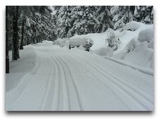  Зимние виды спорта: Маршрут для беговых лыж Ski&Sun
