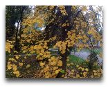 Алматы: Осень в городе 
