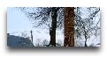 Спецпредложения