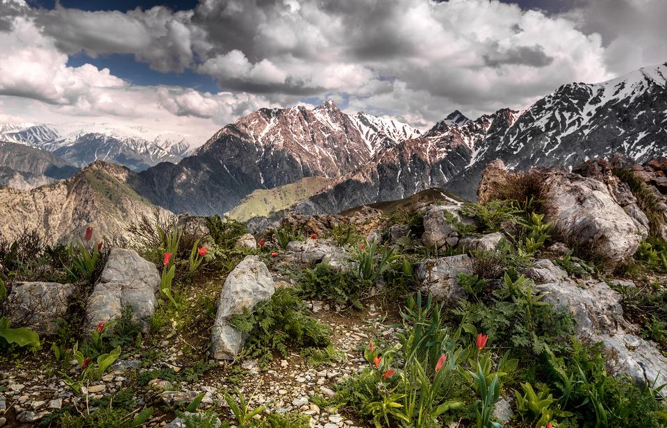 Горы чимган узбекистан фото