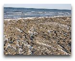  Нукус: Берег Аральского моря