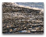  Нукус: Берег Аральского моря