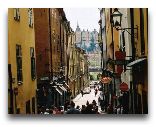  Стокгольм: Старый город
