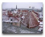  Таллинн: Крыши Нижнего города