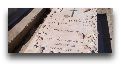 Регулярные туры Израиль