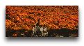 Ноябрьские праздники в Европе