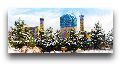 Новый год в Средней Азии